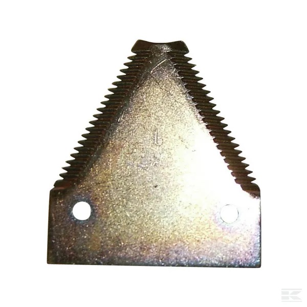 Terälappu, hammastettu, N.H.